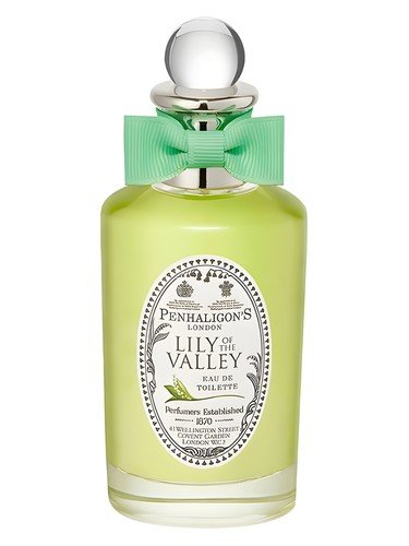 Lily of the Valley