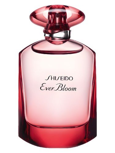 Ever Bloom Ginza Flower