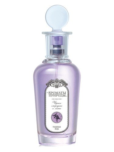 Черная смородина и мята – Black currant and Mint