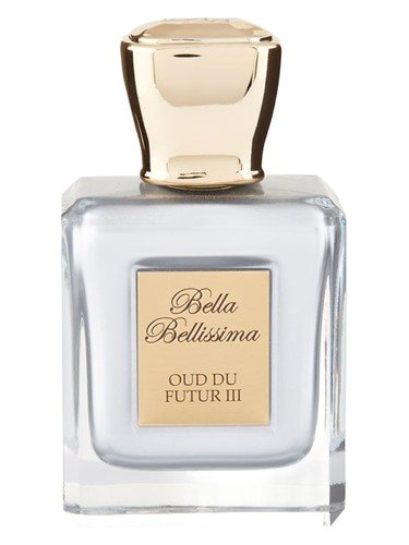 Oud du Futur III