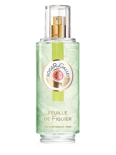 Feuille de Figuier