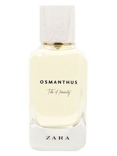 Osmanthus