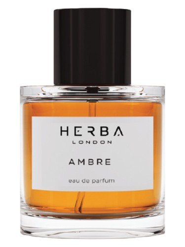 Ambre