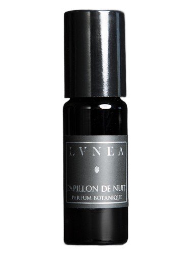 Papillon de Nuit