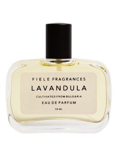 Lavandula