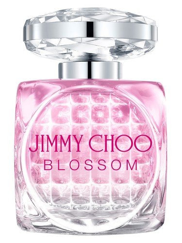 Blossom Special Edition 2019