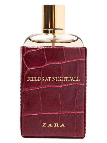 Fields at Nightfall 2018