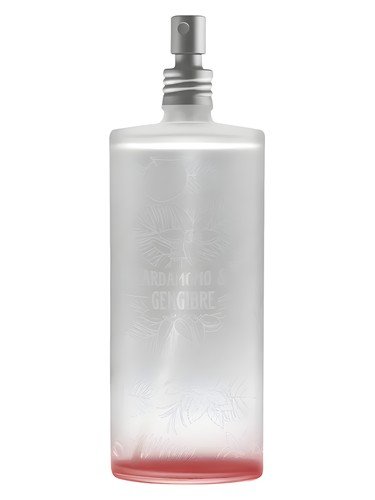 Cardamomo & Gengibre