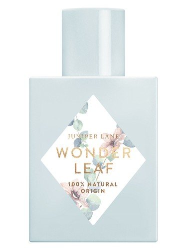 Wonder Leaf