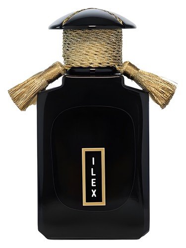 Ilex