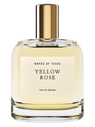 Yellow Rose