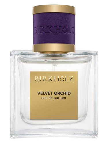 Velvet Orchid