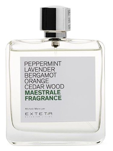 Maestrale Fragrance
