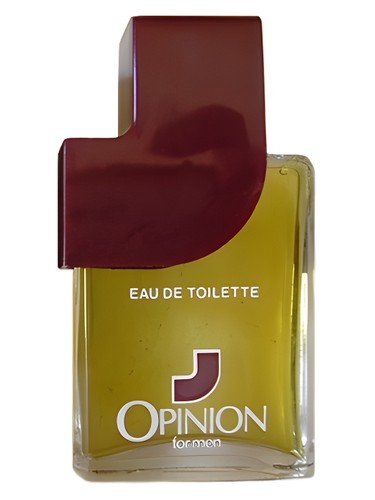 Opinion For Men