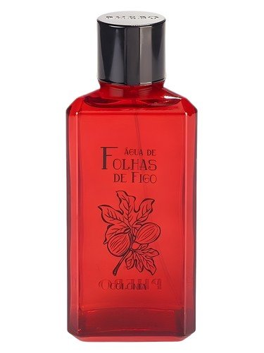 Água de Folhas de Figo