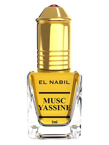 Musc Yassine