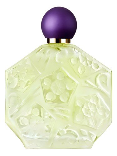 Fleurs d’Ombre/Violette – Menthe