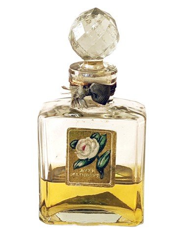 Магнолия (Magnolia)