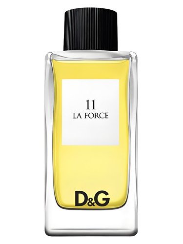 D&G Anthology La Force 11