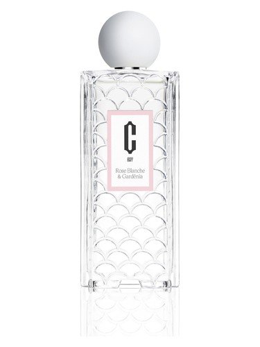 Rose Blanche & Gardénia