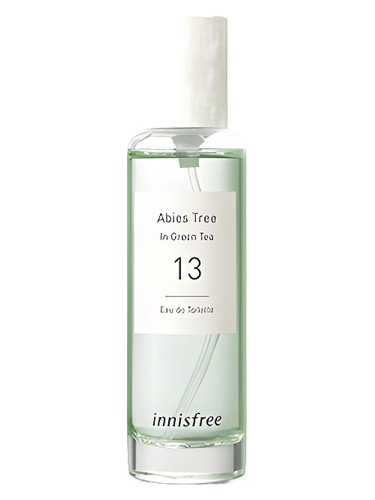 13 Abies Tree in Green Tea