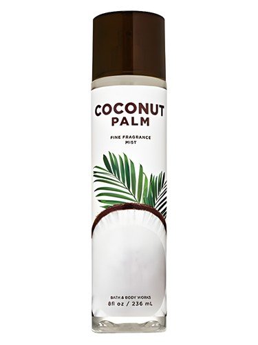 Coconut Palm