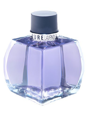 Pure Lavender
