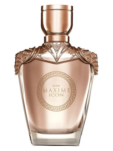 Maxime Icon