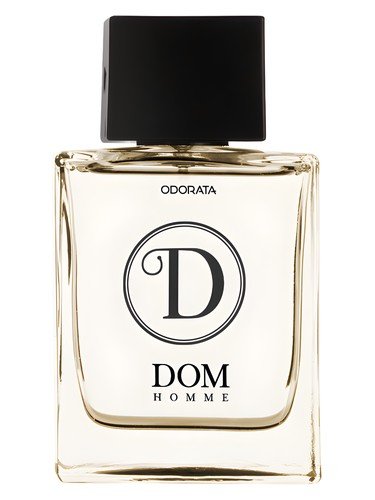 Dom Homme