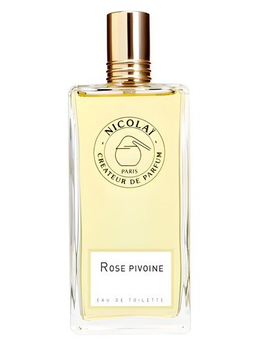 Rose Pivoine