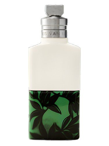 Santal Greenery