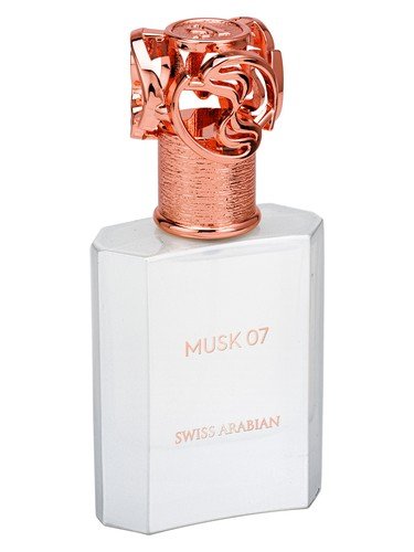 Musk 07