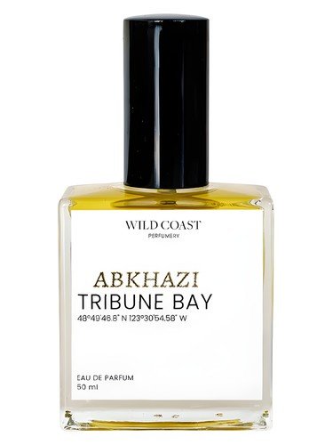 Abkhazi