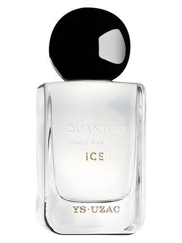 Quantum Charge In An Ice Palace