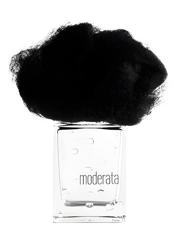 Pioggia Moderata