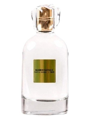 Bambou Sauvage