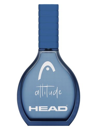 Attitude