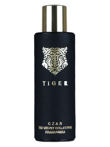 Tiger X Aslan Gülçiçek