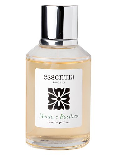 Menta e Basilico