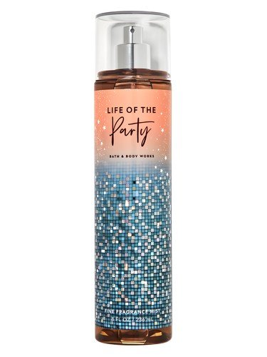 Life of the Party
