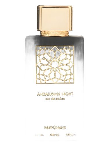 Andalusian Night