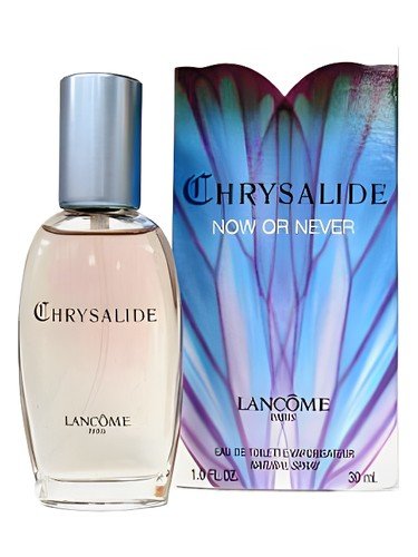 Chrysalide