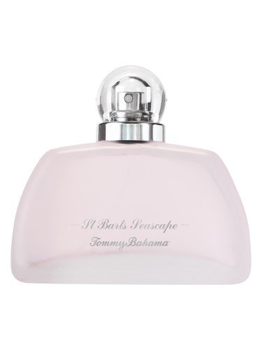 St. Barts Seascape for Women