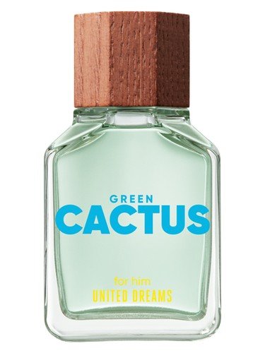 United Dreams – Green Cactus for Him