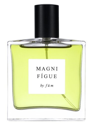 Magnifígue