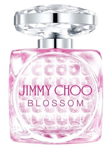 Blossom Special Edition 2023