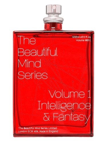 Volume I Intelligence & Fantasy