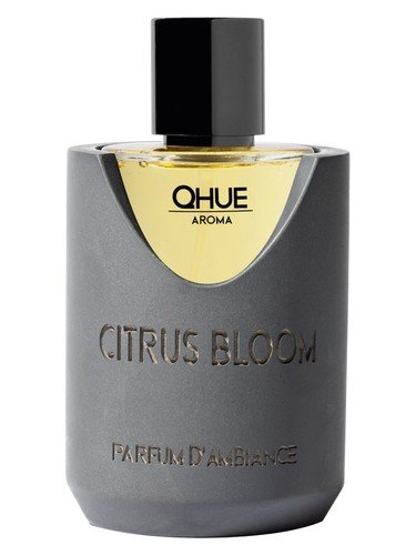 Citrus Bloom
