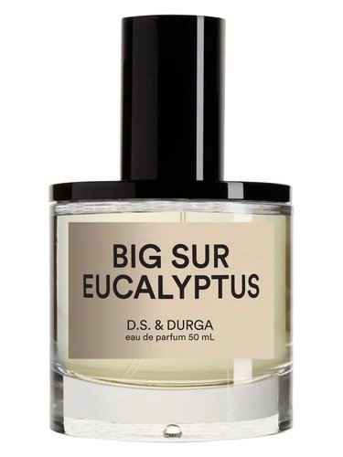 Big Sur Eucalyptus