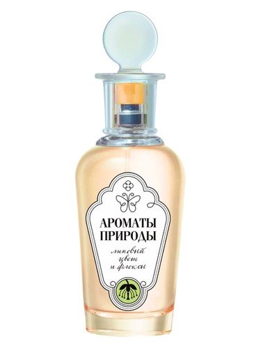 Липовый Цвет и Флоксы – Linden Blossom and Phlox